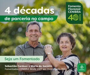 Fomento Florestal 