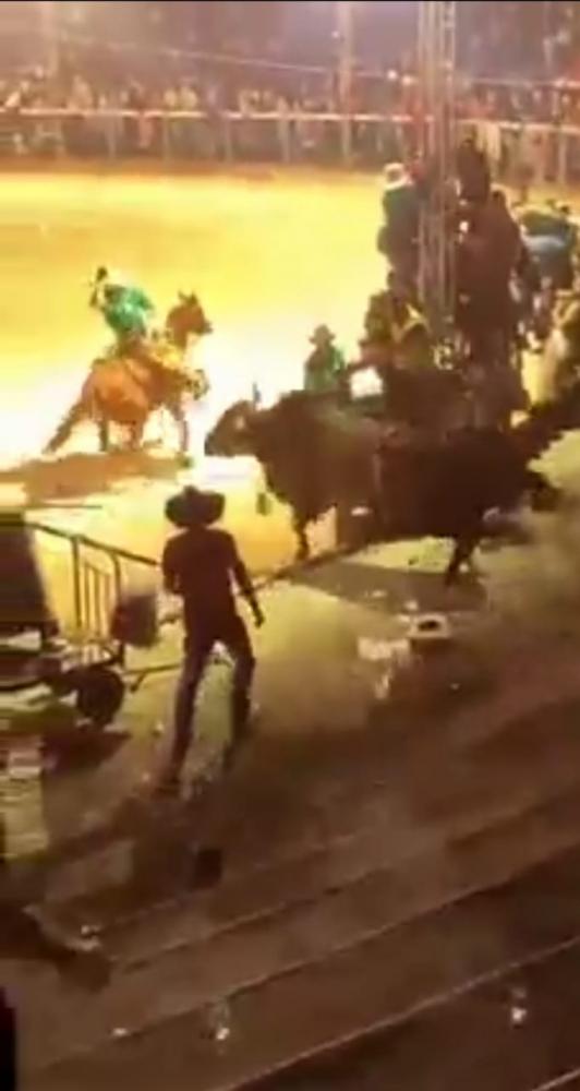 VÍDEO: touro invade arquibancada e fere 13 pessoas durante rodeio em Minas