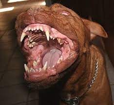 Imagem meramente ilustrativa