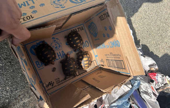 Foto divulgação ASCOM PCMG