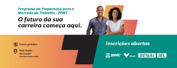 Programa de Preparação para o Mercado de Trabalho (PPMT)