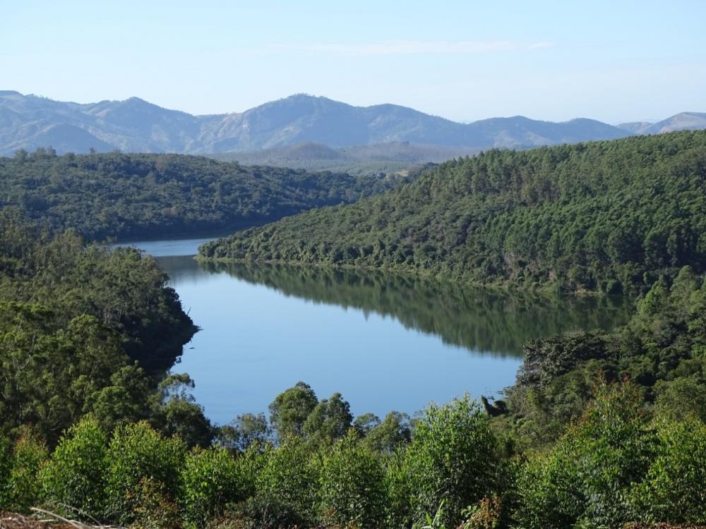 Áreas da CENIBRA são referência em prevenção de água, solo e biodiversidade