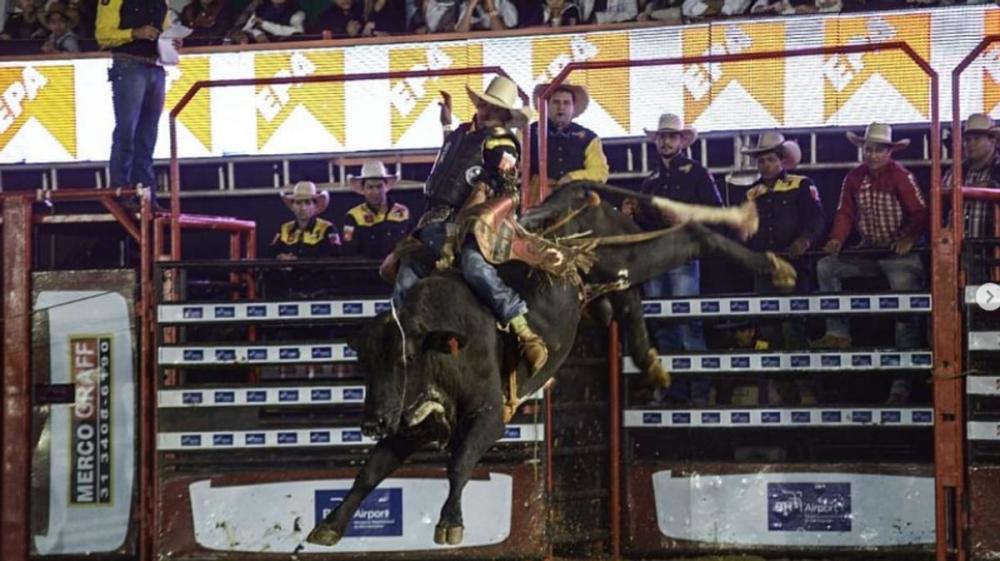 Justiça liberou o rodeio com touros
