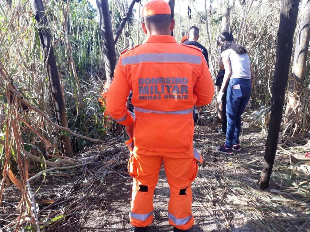 O animal teria aparecido no quintal da casa de seu tutor com o membro.