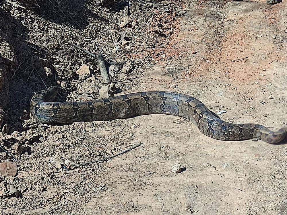 Foto divulgação CBMMG