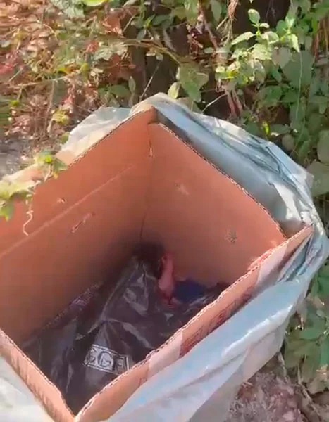 Mãe de recém-nascida abandonada em caixa de papelão é encontrada pela Polícia em Ipatinga