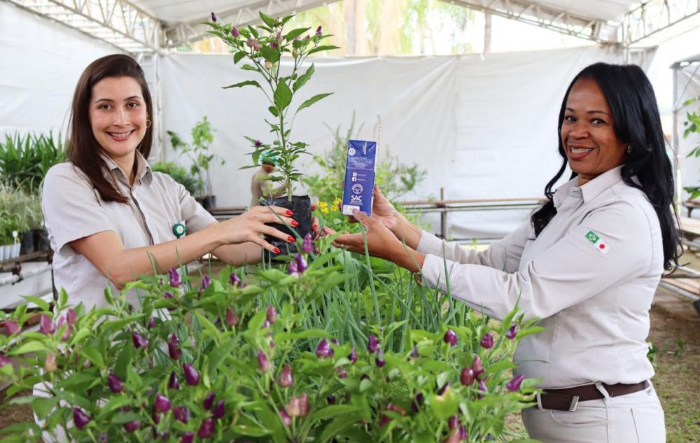 Com as mudas distribuídas, CENIBRA arrecadará caixas de leite para doação