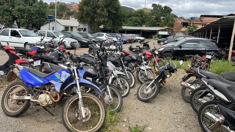 Lotes com 67 veículos estão em um pátio localizado no bairro Vila Celeste, em Ipatinga — Foto: Polícia Civil de Minas Gerais / Divulgação