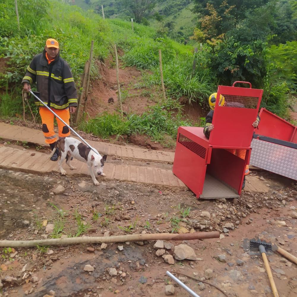 Foto divulgação CBMMG