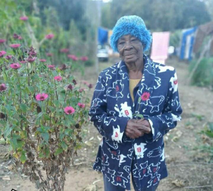 Ambrilina Araújo dos Santos 
