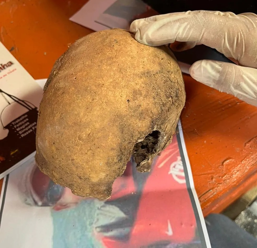 Fragmento de crânio é encontrado em fazenda na cidade de Aimorés — Foto: Polícia Civil/Divulgação