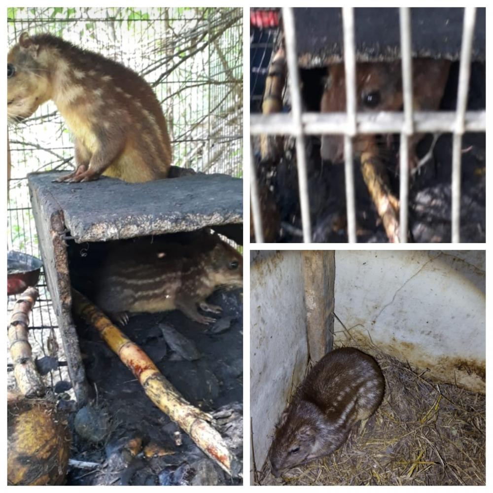 Foto divulgação PMMG