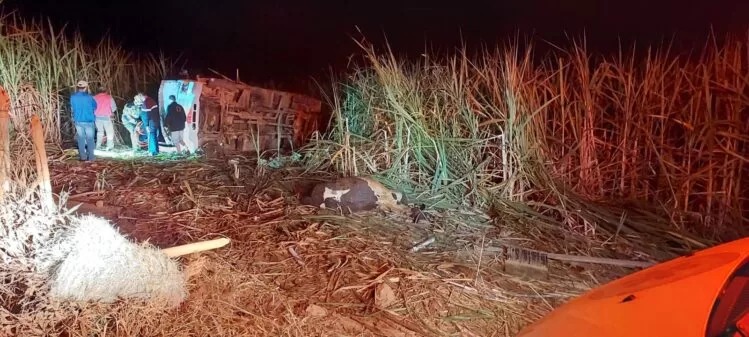 A vítima foi resgatada pelos bombeiros e atendida pela equipe do Samu