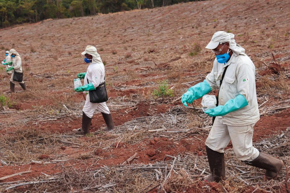  CENIBRA abre vagas para trabalhadores na área florestal em IAPU