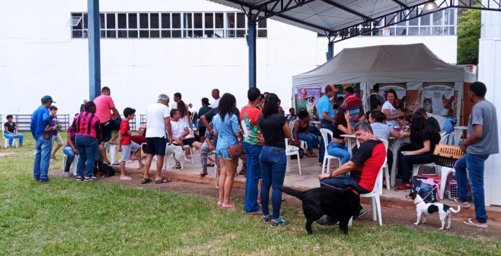 2° Mutirão de Castração de cães e gatos