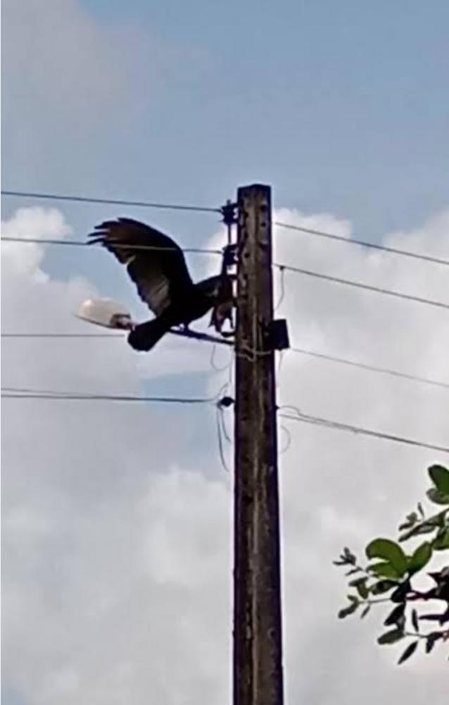 Foto Arquivo Pessoal