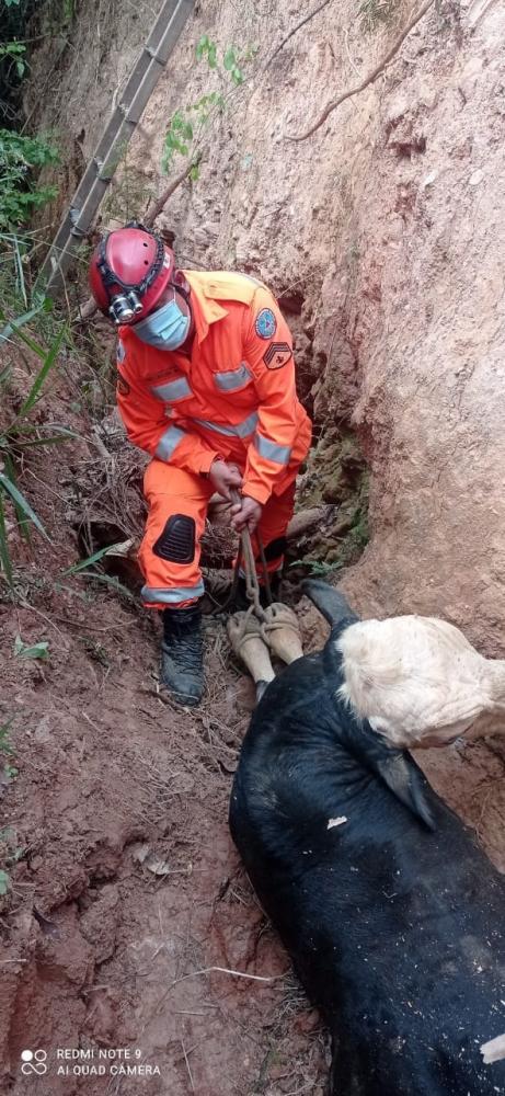 Foto Divulgação Corpo Bombeiros de Minas Gerais 