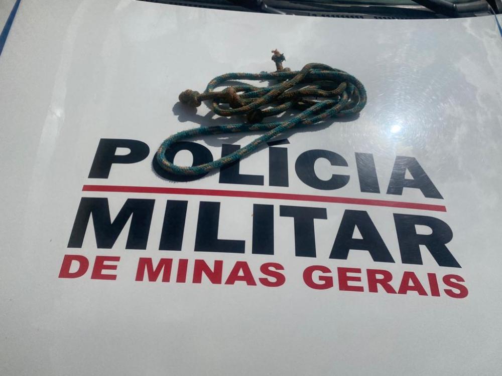 Foto Divulgação Corpo PMMG