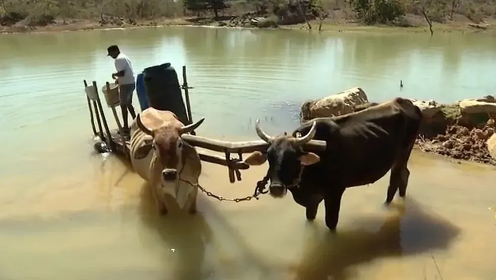 Seca gera prejuízos para pequenos agricultores de Minas Gerais (imagem de arquivo) 