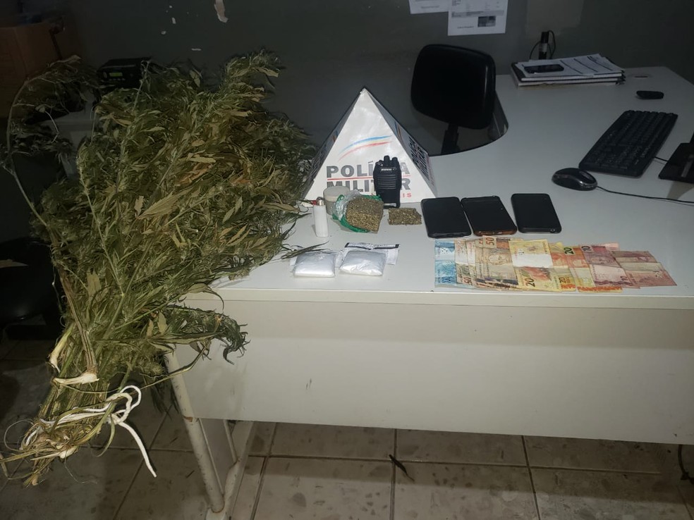 Porções e pé de maconha foram apreendidos durante a operação — Foto: Polícia Militar/Divulgação