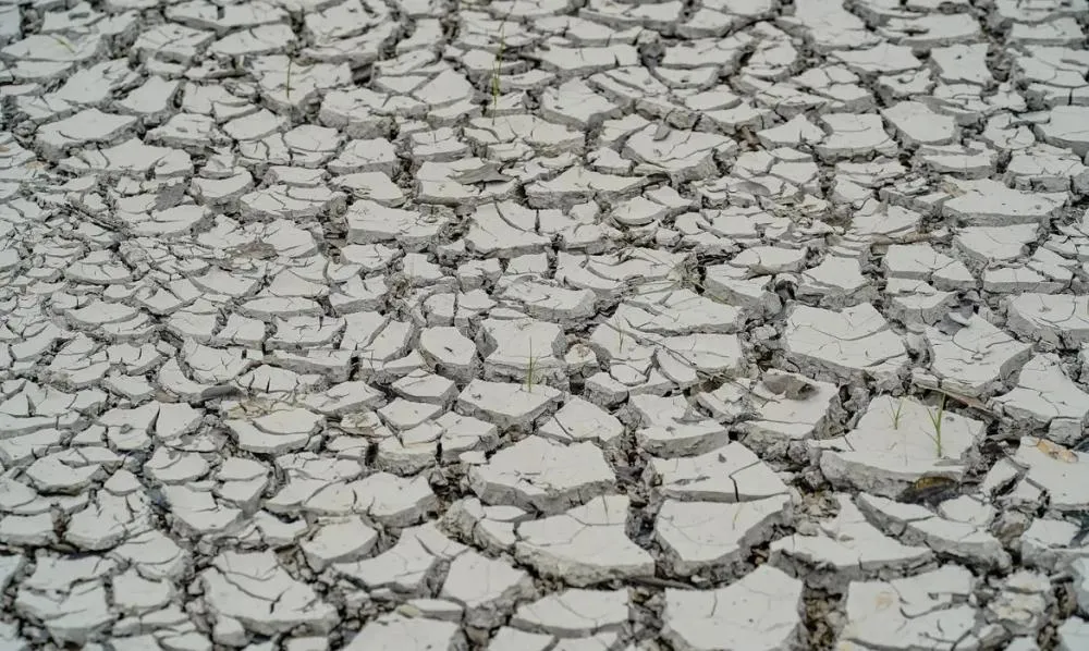 Seca gera prejuízos 