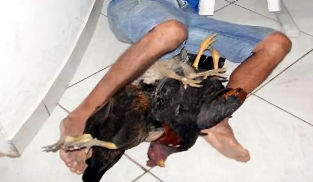 Imagem Meramente Ilustrativa