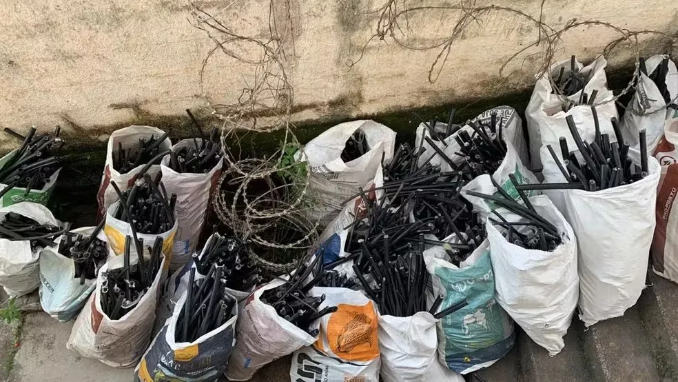 Foto: Polícia Civil/Divulgação