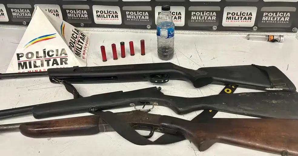 Armas apreendidas com homem que agrediu mulher com pá de pedreiro em Divinópolis — Foto: PM/Divulgação