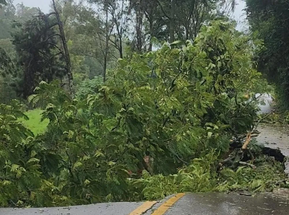 Na BR-459, entre Wenceslau Braz e Delfim Moreira, a pista cedeu e a rodovia foi totalmente fechada
