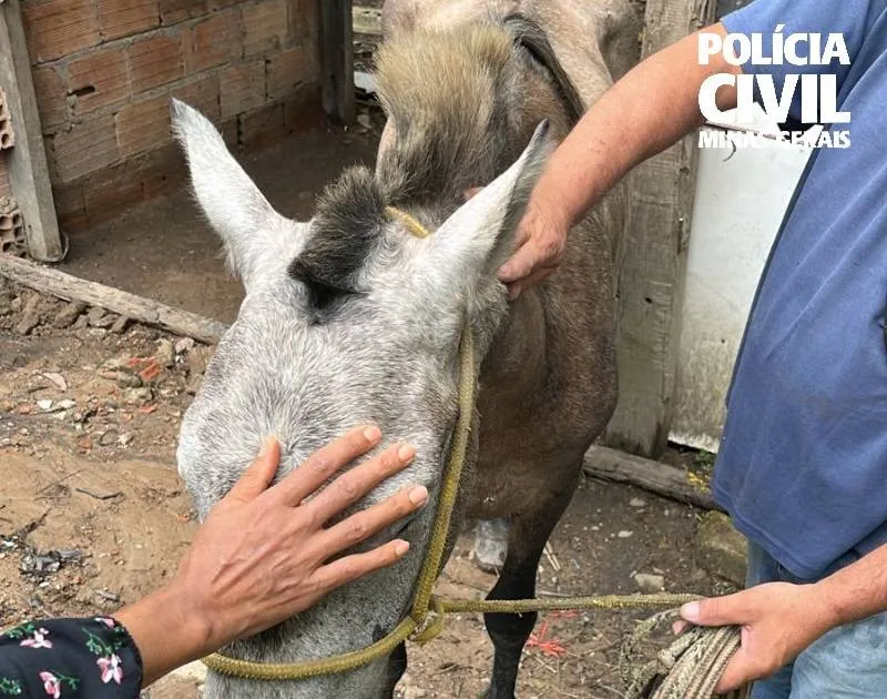 Foto divulgação PCMG.