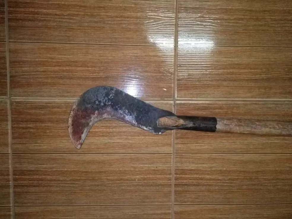 Imagem ilustrativa de foice