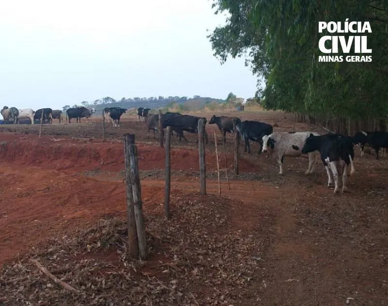 Foto divulgação PCMG.