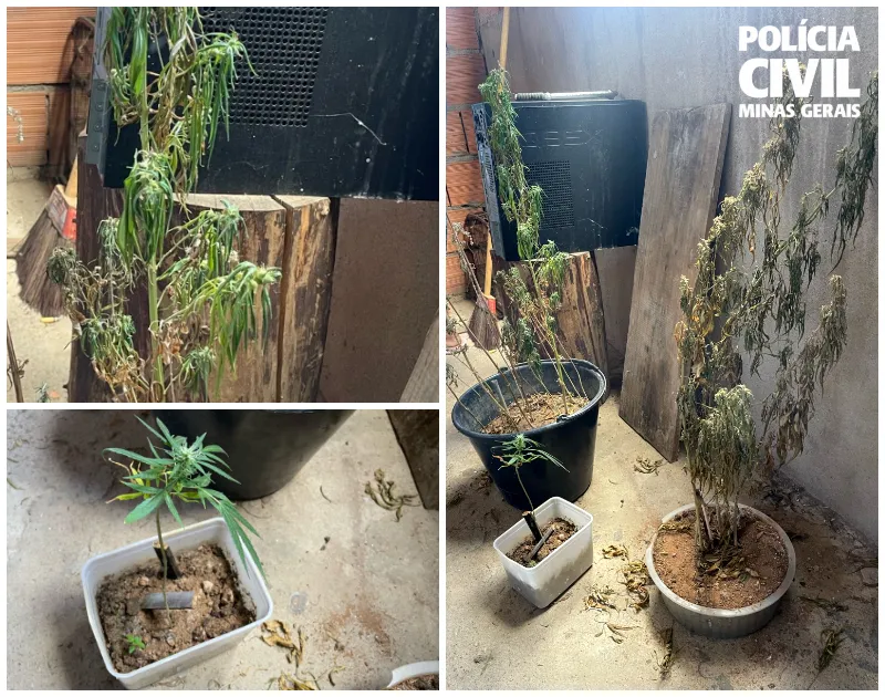 PCMG combate tráfico de drogas e violência doméstica em Guanhães