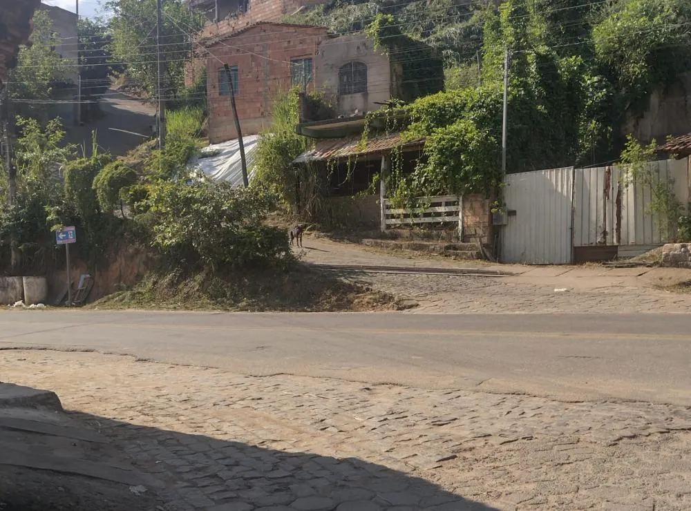 Imagem do animal registrada a distância por morador. Margens da MGC-120 inicio da rua Juca Cabral (trecho conhecido também como Morro do Tipuano). 