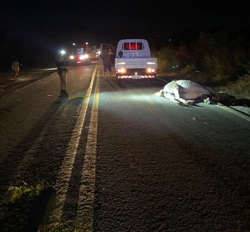 Foto: PMRv/Divulgação