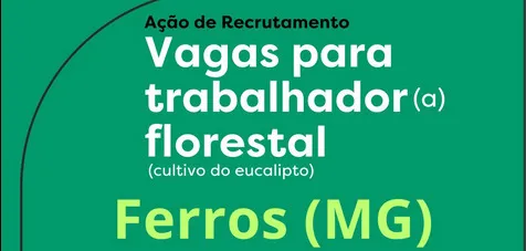  As vagas disponíveis são para trabalhar com o cultivo do eucalipto.