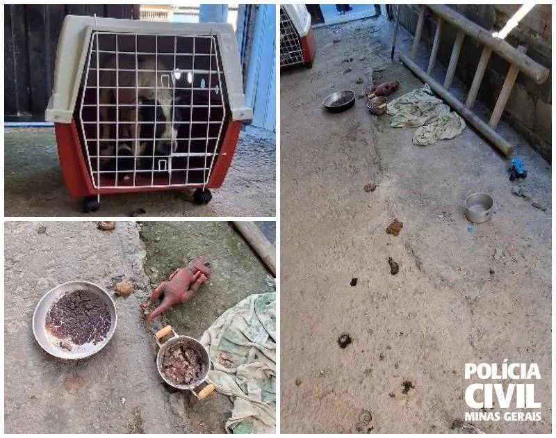 Foto divulgação PCMG