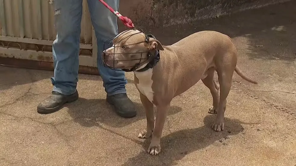Foto: Reprodução/EPTV
