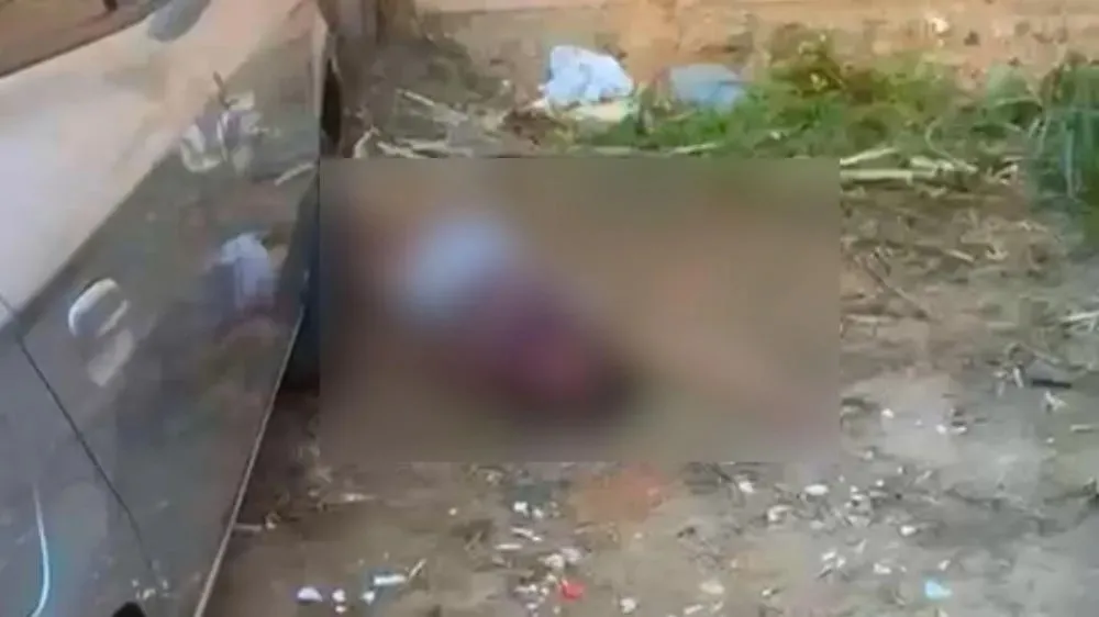 Reprodução: Voz 97