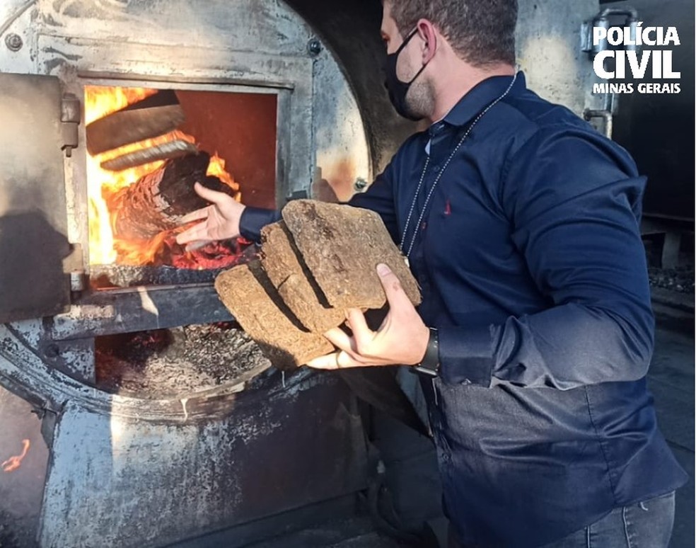 Drogas foram destruídas com autorização da Justiça — Foto: Polícia Civil/Divulgação