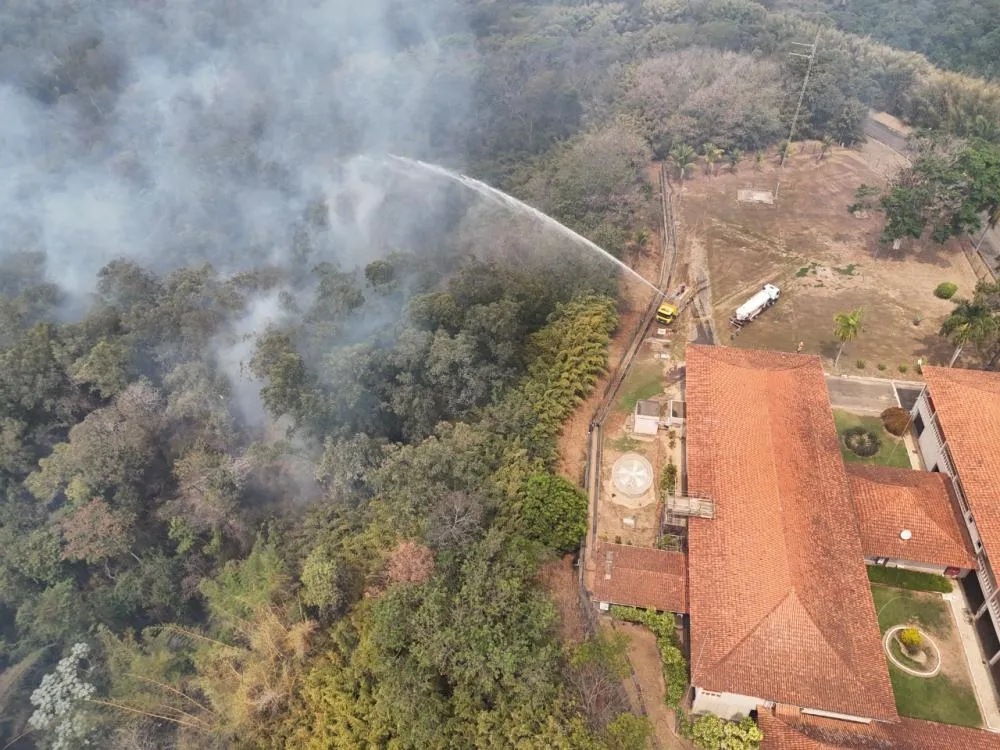 A natureza te olha nos olhos e pede socorro. Incêndios causam perdas irreparáveis, devastando a biodiversidade e colocando vidas em risco.