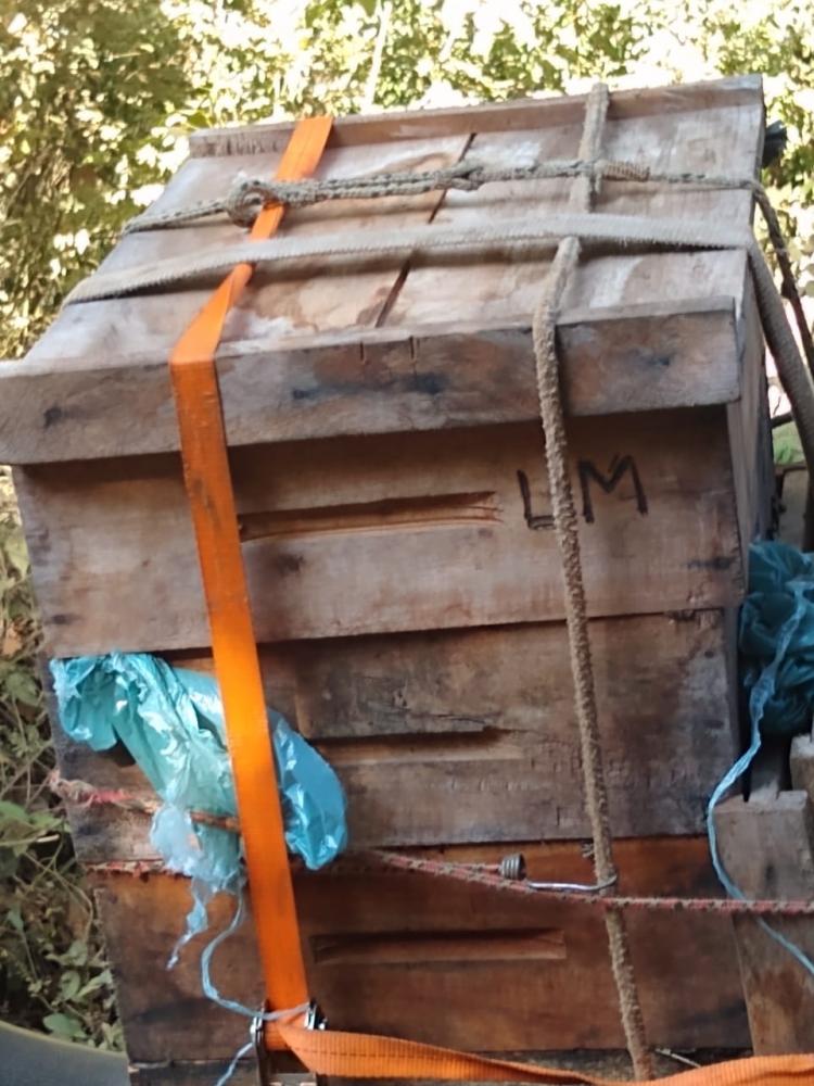 Foto Divulgação PMMG