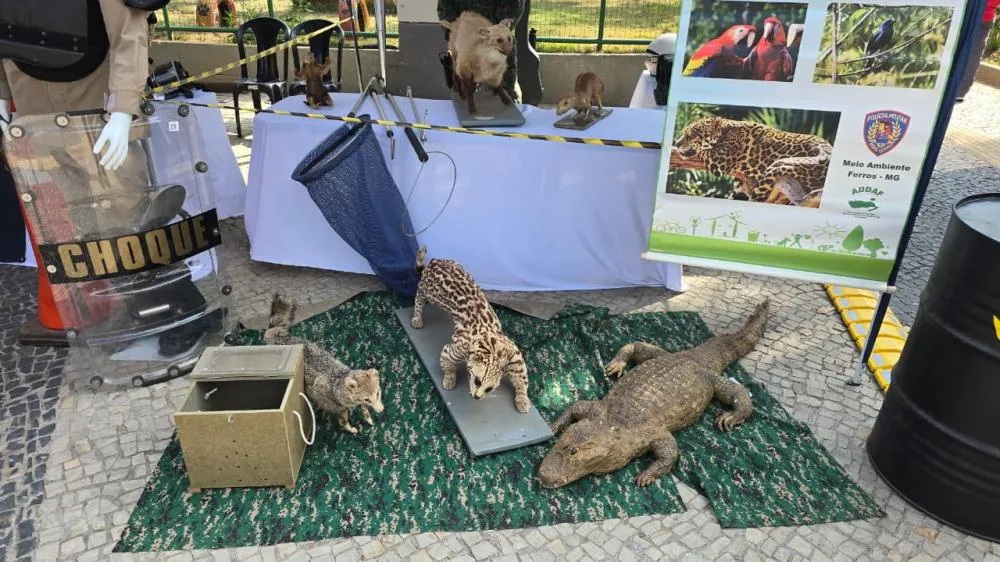 Ação Cívico-Social