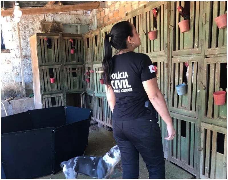 Foto divulgação PCMG