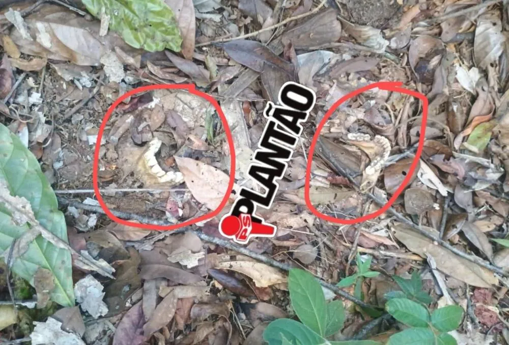 Ossada humana é encontrada enterrada na zona rural de Ferros nesta segunda-feira (19)