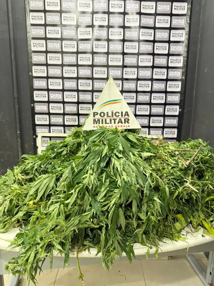 Foto divulgação PMMG