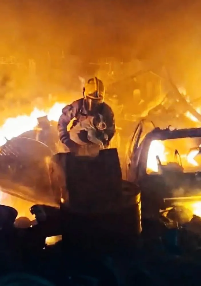 VEJA VÍDEO; Corpo de Bombeiros resgata cadela durante incêndio em depósito às margens da BR-459