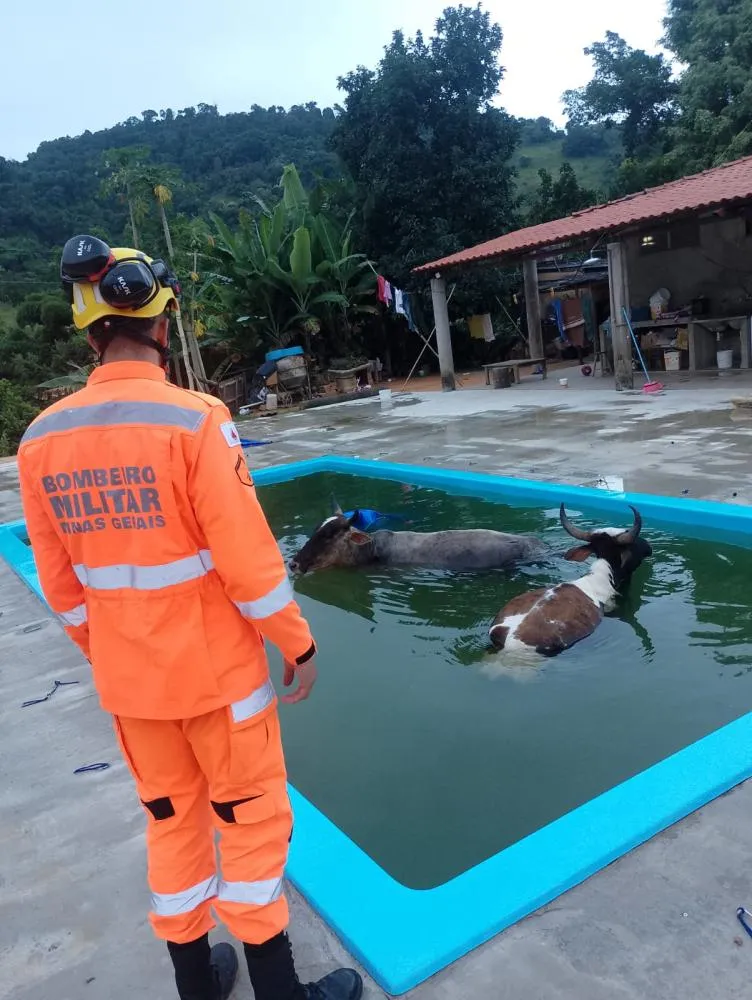 Foto divulgação CBMMG