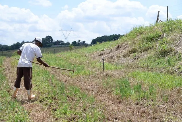 A regularização fundiária das terras devolutas é importante para dar maior segurança jurídica para pequenos produtores rurais Foto: Guilherme Dardanhan