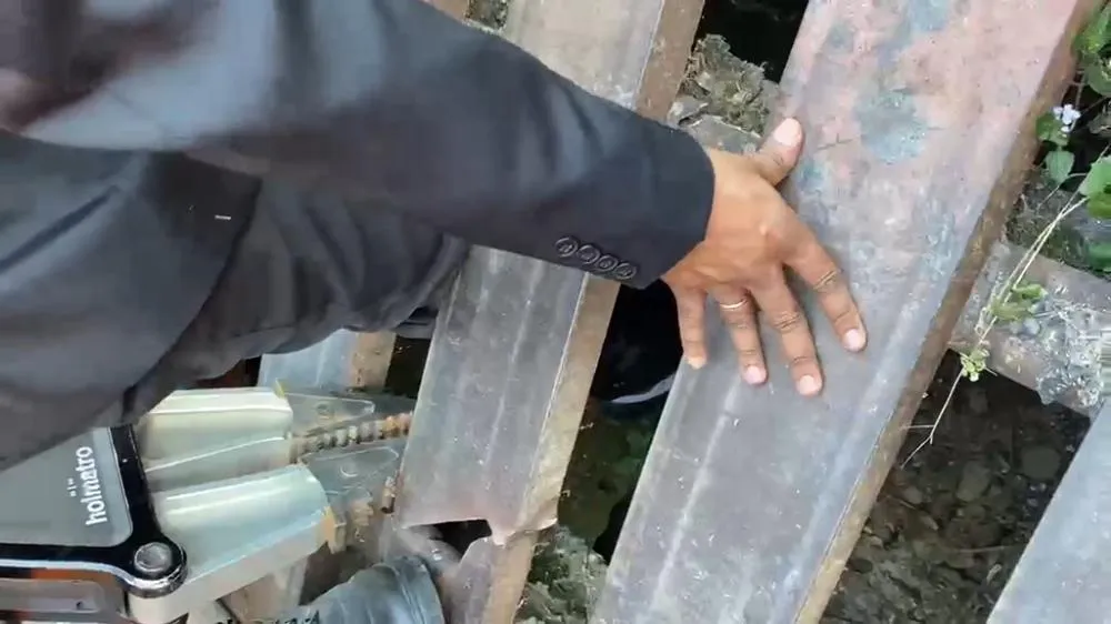 Foto divulgação 